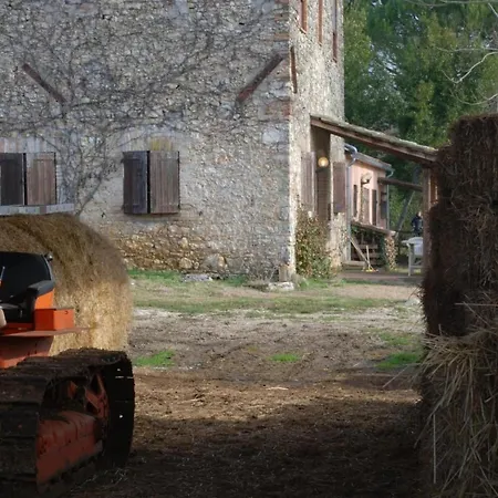 Apartamento Unabhaengige In Amelia Mit Grill Und Gar By Interhome Porchiano (Terni)